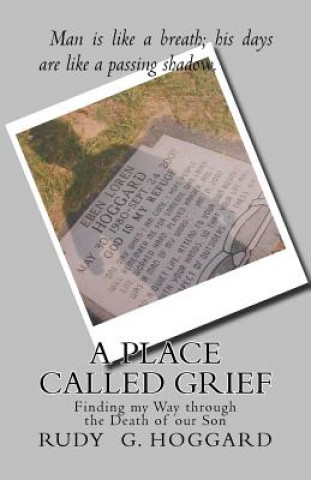 Carte A Place Called Grief: Finding my Way through the Death of our Son Rudy G Hoggard