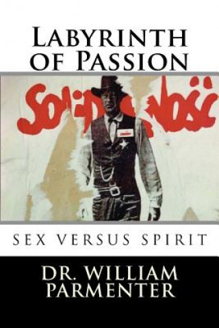 Buch Labyrinth of Passion William Parmenter