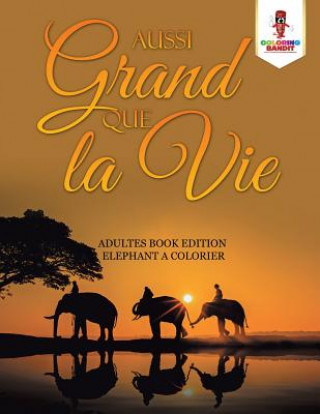 Könyv Aussi Grand Que la Vie COLORING BANDIT