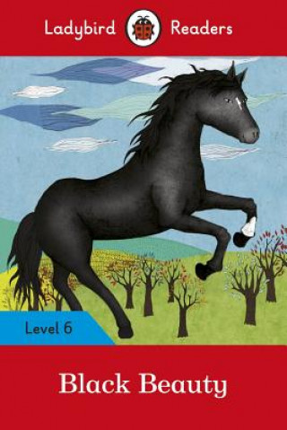 Könyv Ladybird Readers Level 6 - Black Beauty (ELT Graded Reader) 