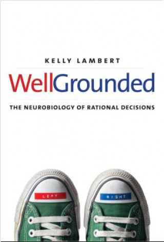 Kniha Well-Grounded Kelly Lambert