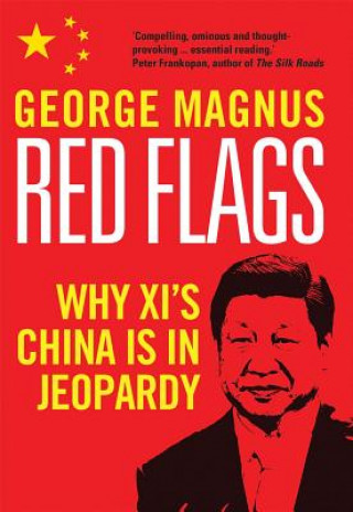Książka Red Flags George Magnus