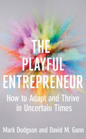 Kniha Playful Entrepreneur Mark Dodgson
