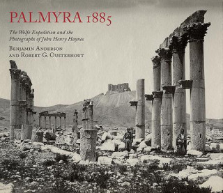 Livre Palmyra 1885: The Wolfe Expedition and the Photographs of John Henry Haynes Benjamin Anderson