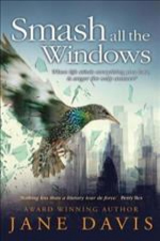 Boek Smash all the Windows Jane Davis