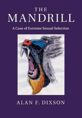 Kniha Mandrill Alan F. (Victoria University of Wellington) Dixson