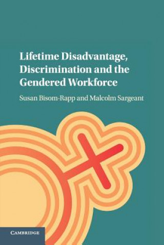 Kniha Lifetime Disadvantage, Discrimination and the Gendered Workforce Susan Bisom-Rapp