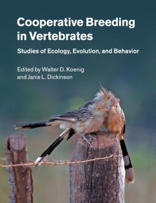 Kniha Cooperative Breeding in Vertebrates Walter D. Koenig