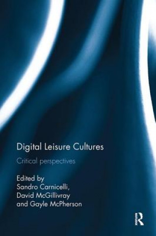 Könyv Digital Leisure Cultures 