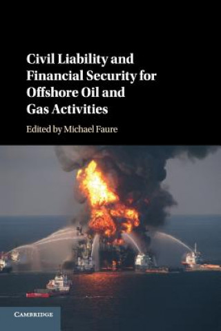 Kniha Civil Liability and Financial Security for Offshore Oil and Gas Activities Michael Faure