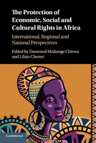 Buch Protection of Economic, Social and Cultural Rights in Africa Danwood Mzikenge Chirwa