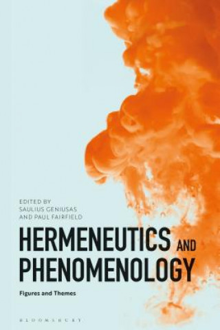 Kniha Hermeneutics and Phenomenology Saulius Geniusas