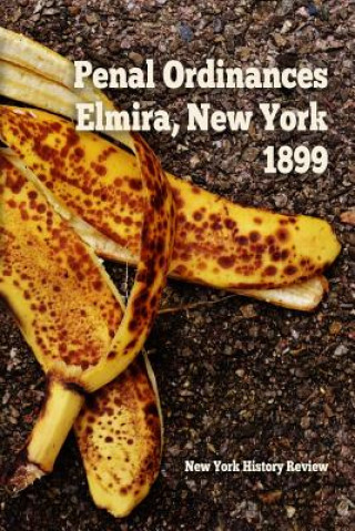 Carte Penal Ordinances of Elmira, New York 1899 NEW HISTORY REVIEW