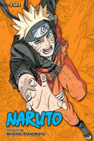 Kniha Naruto (3-in-1 Edition), Vol. 23 Masashi Kishimoto