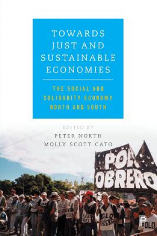 Kniha Towards just and sustainable economies Peter North