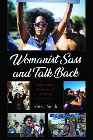 Kniha Womanist Sass and Talk Back MITZI J. SMITH