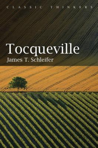 Kniha Tocqueville James Schleifer