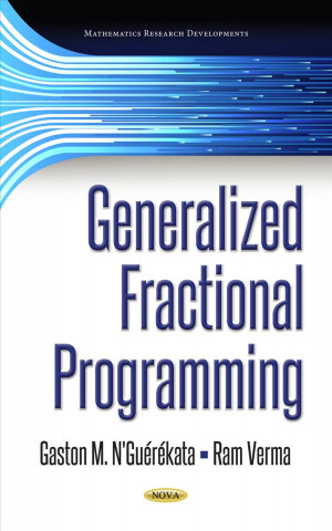 Knjiga Generalized Fractional Programming Gaston M N'Guerekata