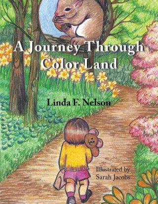 Buch Journey Through Color Land LINDA F. NELSON