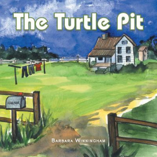 Kniha Turtle Pit Barbara Winningham