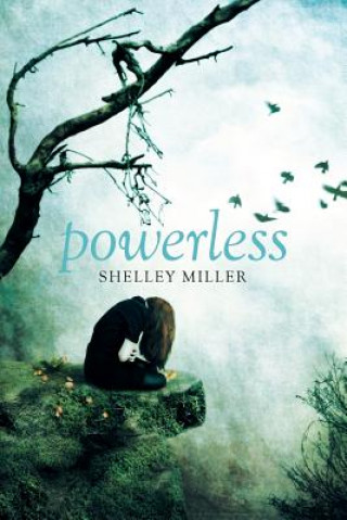 Buch Powerless Shelly Miller