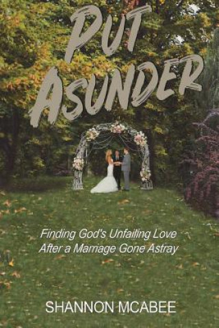 Книга Put Asunder Shannon McAbee