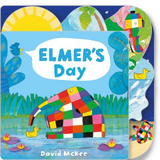 Kniha Elmer's Day David McKee