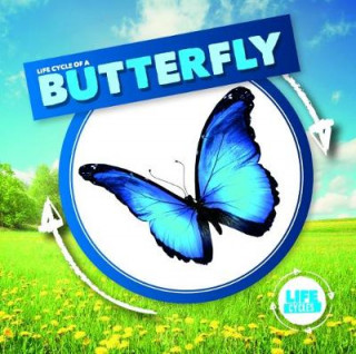 Книга Life Cycle of a Butterfly Kirsty Holmes
