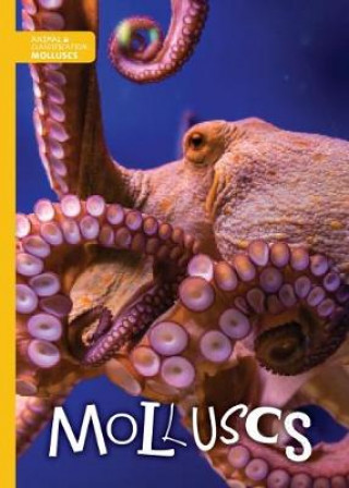 Könyv Molluscs Madeline Tyler