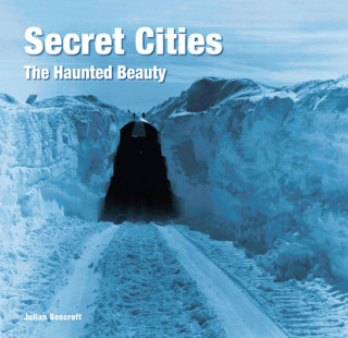 Kniha Secret Cities P. T. Forrester