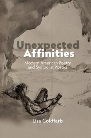 Knjiga Unexpected Affinities Lisa Goldfarb