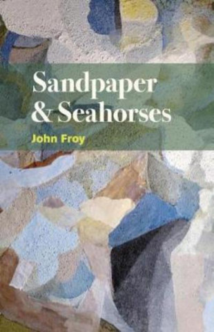 Kniha Sandpaper & Seahorses John Froy
