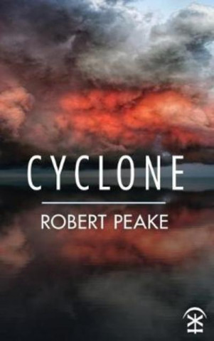 Book Cyclone Robert Peake