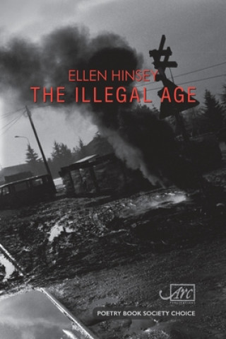 Книга Illegal Age Ellen Hinsey