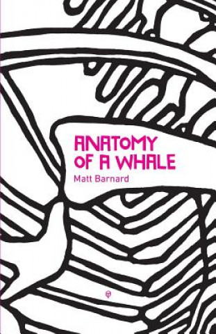 Kniha Anatomy of a Whale MATT BARNARD