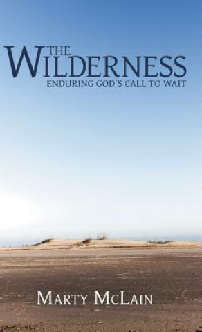 Книга Wilderness Marty McLain