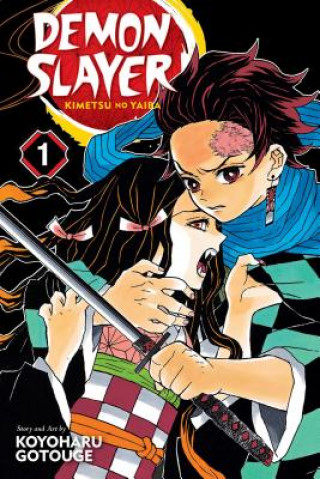 Carte Demon Slayer: Kimetsu no Yaiba, Vol. 1 Koyoharu Gotouge