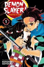 Kniha Demon Slayer: Kimetsu no Yaiba, Vol. 1 Koyoharu Gotouge