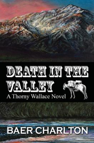 Kniha Death in the Valley Baer Nmi Charlton