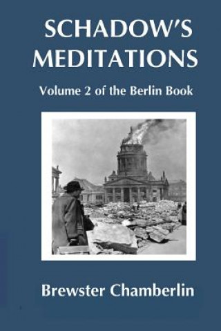 Boek Schadow's Meditations Brewster Chamberlin