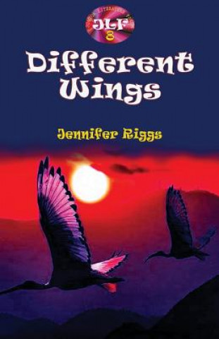 Kniha Different Wings Jennifer Riggs