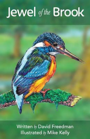 Carte Jewel of the Brook: The Kingfisher's Tale David Freedman