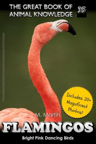Carte Flamingos: The Bright Pink Dancing Birds M Martin