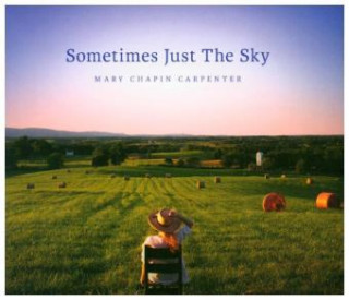 Audio Sometimes Just the Sky, 1 Audio-CD Mary Chapin Carpenter