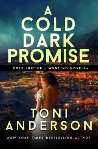 Kniha Cold Dark Promise Toni Anderson