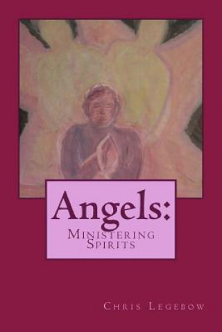 Книга Angels: : Ministering Spirits Chris Anne Legebow