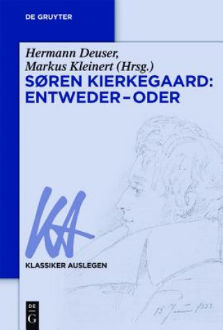 Buch Soren Kierkegaard Hermann Deuser