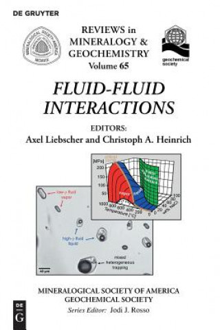 Knjiga Fluid-Fluid Interactions Axel Liebscher