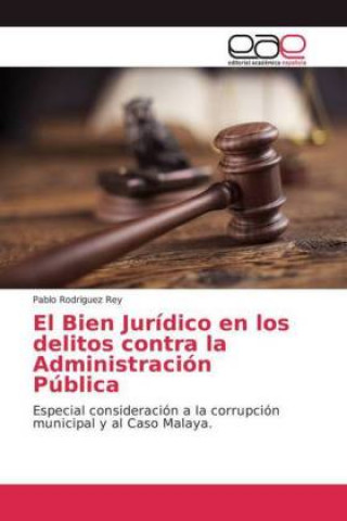 Book Bien Juridico en los delitos contra la Administracion Publica Pablo Rodriguez Rey