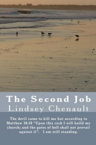 Kniha The Second Job Lindsey Chenault